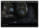 Thumbnail-14