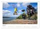 Thumbnail-9