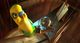 Thumbnail-8