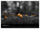 Thumbnail-10