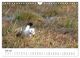 Thumbnail-12