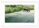 Thumbnail-9