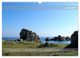 Thumbnail-13