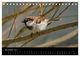 Thumbnail-13