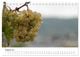 Thumbnail-10