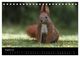 Thumbnail-10