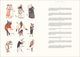 Thumbnail-9