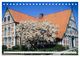Thumbnail-8
