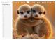 Thumbnail-14