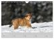 Thumbnail-8