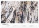Thumbnail-11