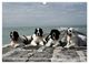 Thumbnail-12