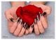 Thumbnail-12