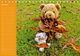 Thumbnail-10