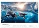 Thumbnail-11