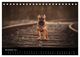 Thumbnail-13