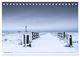 Thumbnail-14