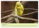 Thumbnail-10