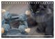 Thumbnail-14