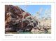 Thumbnail-14