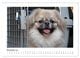 Thumbnail-13