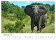 Thumbnail-11