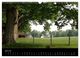 Thumbnail-11
