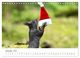 Thumbnail-14