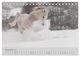 Thumbnail-14