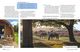 Thumbnail-10