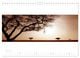 Thumbnail-11