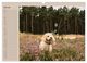 Thumbnail-9