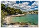 Thumbnail-13
