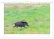 Thumbnail-11