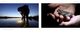 Thumbnail-9