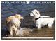 Thumbnail-14