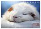 Thumbnail-14