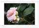 Thumbnail-12