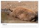 Thumbnail-10