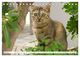 Thumbnail-8