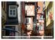 Thumbnail-8