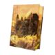Thumbnail-2