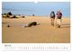 Thumbnail-11