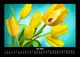 Thumbnail-11