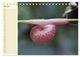 Thumbnail-12