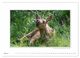 Thumbnail-10