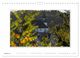 Thumbnail-10