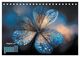 Thumbnail-13