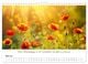 Thumbnail-10