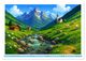 Thumbnail-13